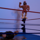 Illustration for article titled Beard Brigade remembers Wrestlemania IV